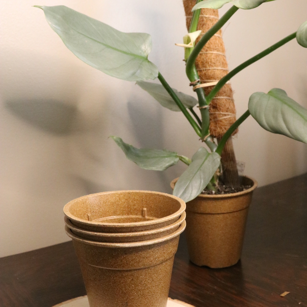Set of 3 4.5" Eco- Friendly Plant Pots